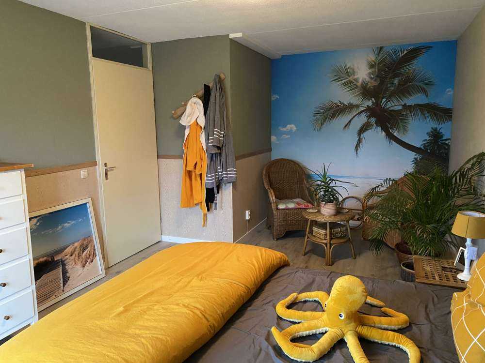 Grote palmboom