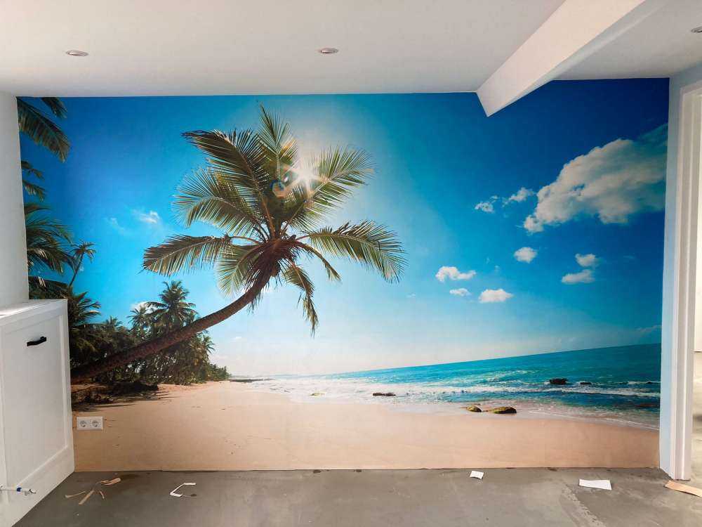 Grote palmboom