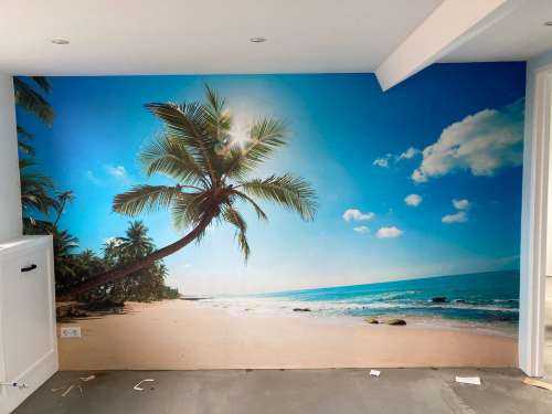 Grote palmboom