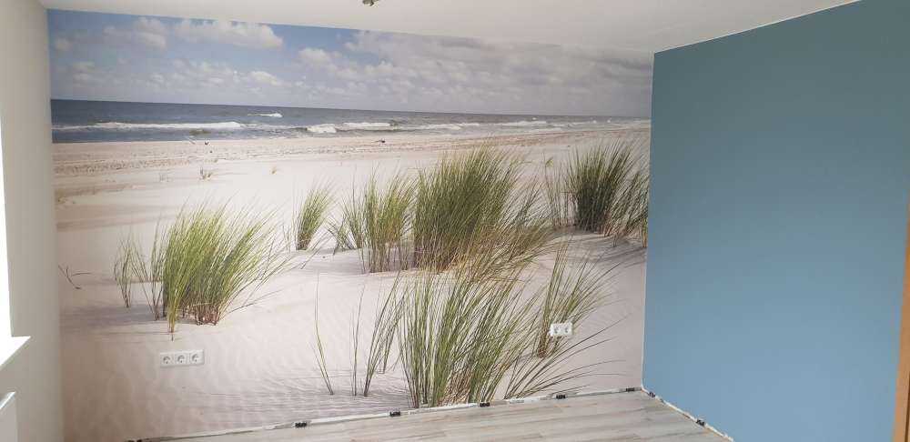 Strand met duinplanten