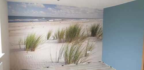 Strand met duinplanten