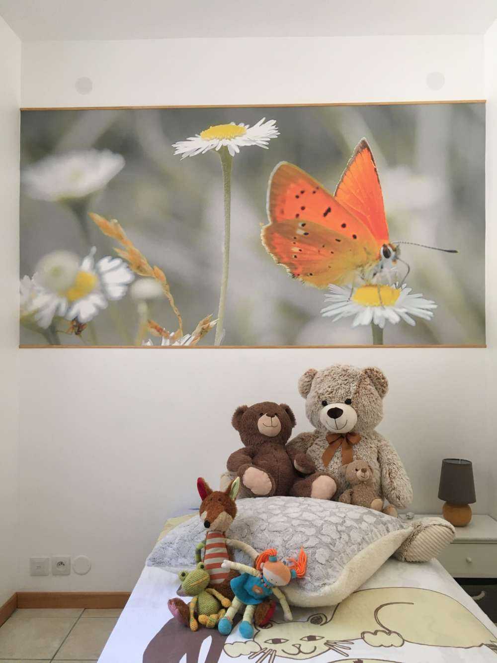 Madeliefjes en oranje vlinder