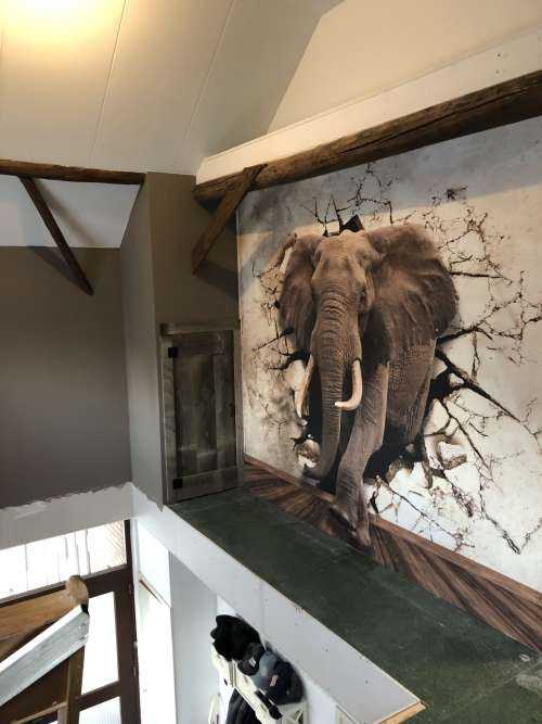 Grote olifant uit de muur