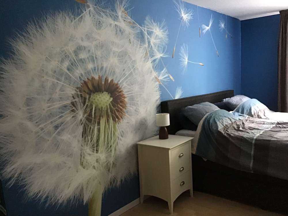 Paardenbloem op blauwe achtergrond