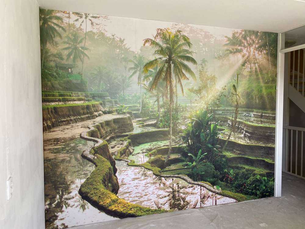 Rijstvelden in de jungle