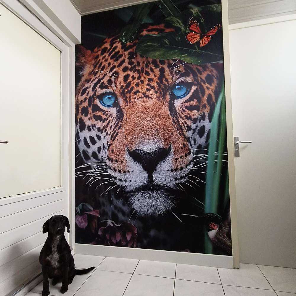 Jungle Leopard