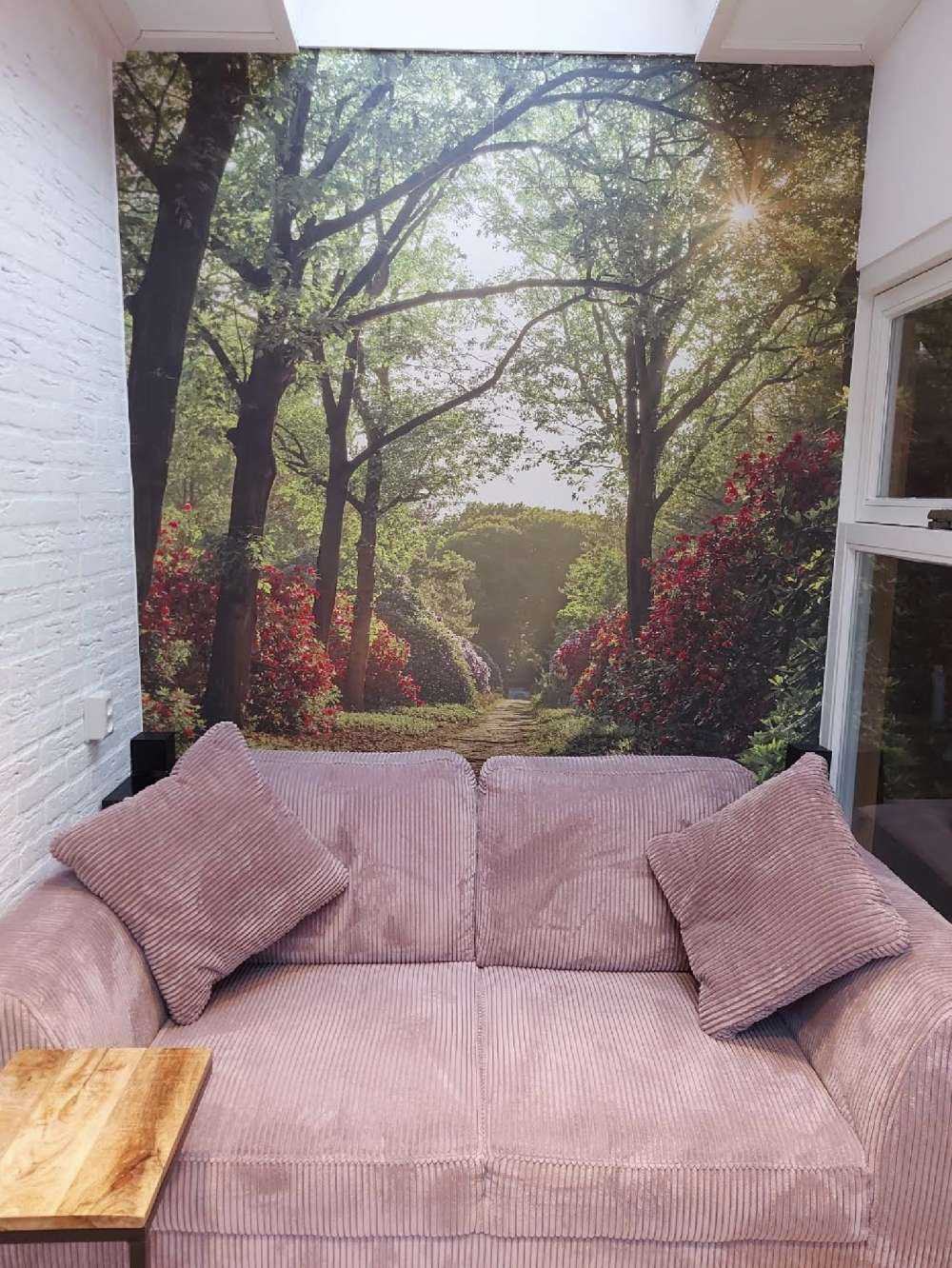 Zonsopkomst bij pad met rhododendrons
