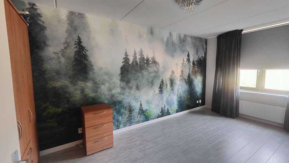 Mistig landschap met groene bomen