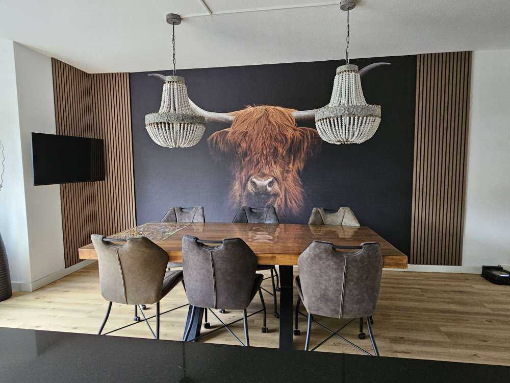 Schotse hooglander op donkere achtergrond