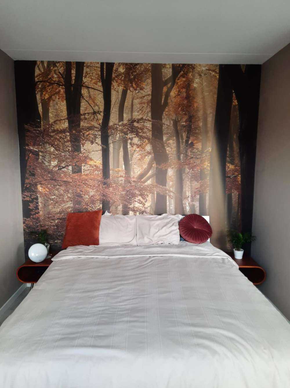 Herfstkleuren in het bos