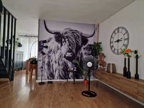 Schotse hooglander in zwart-wit