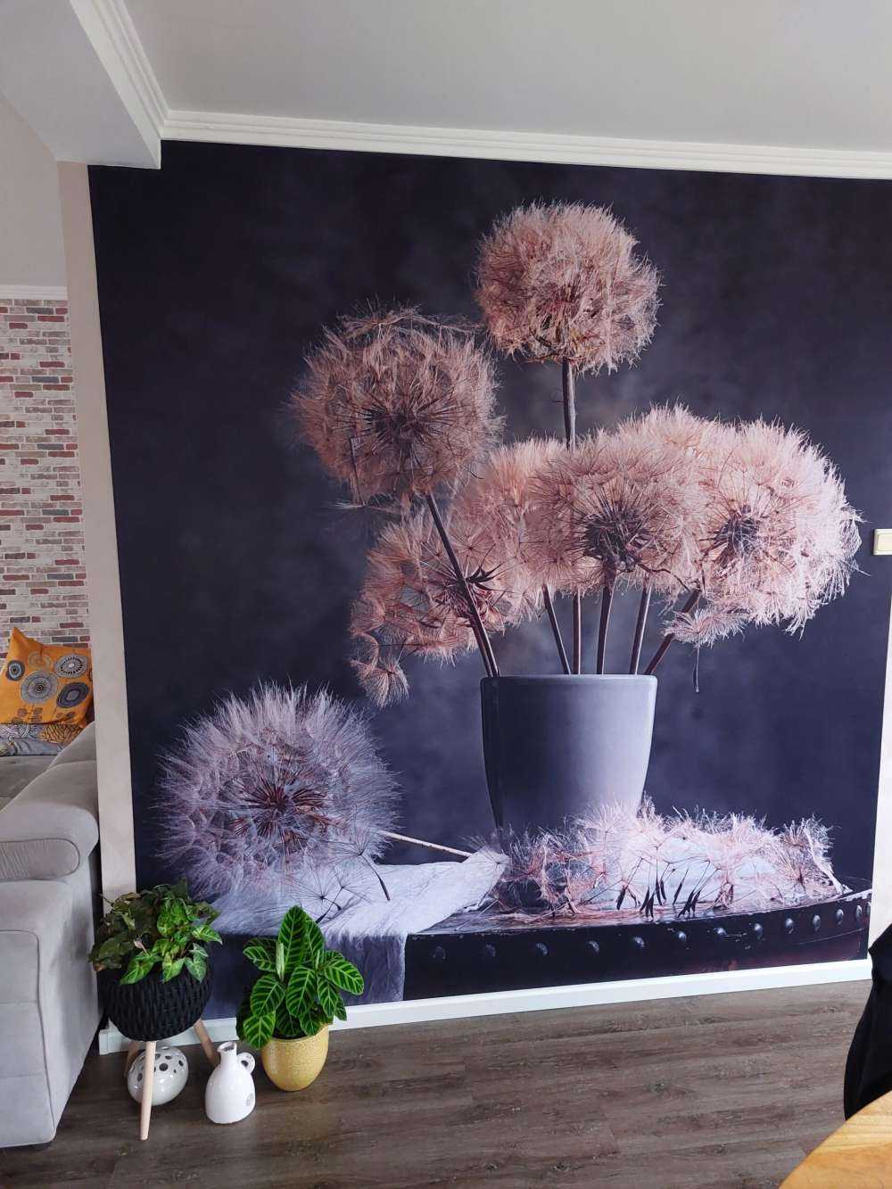 Dandelion Seed Pod