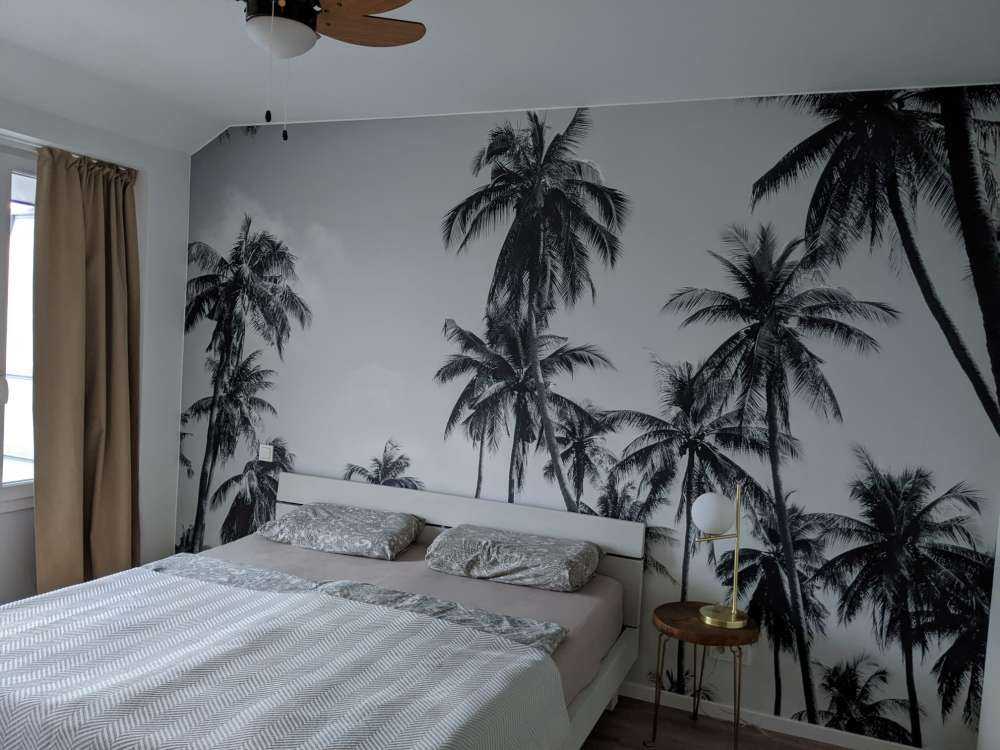 Palmbomen in zwart-wit