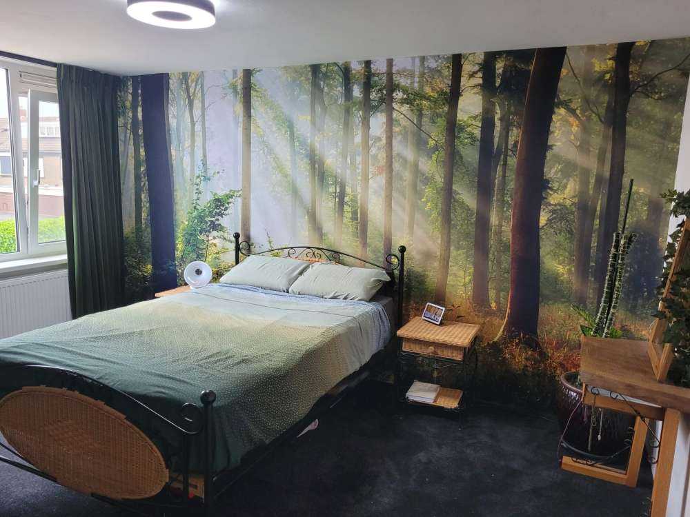 Prachtige ochtend