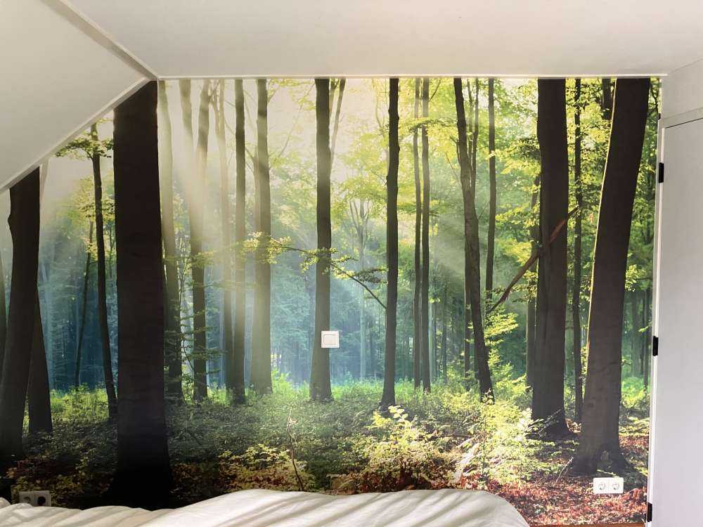 s Ochtends in het bos