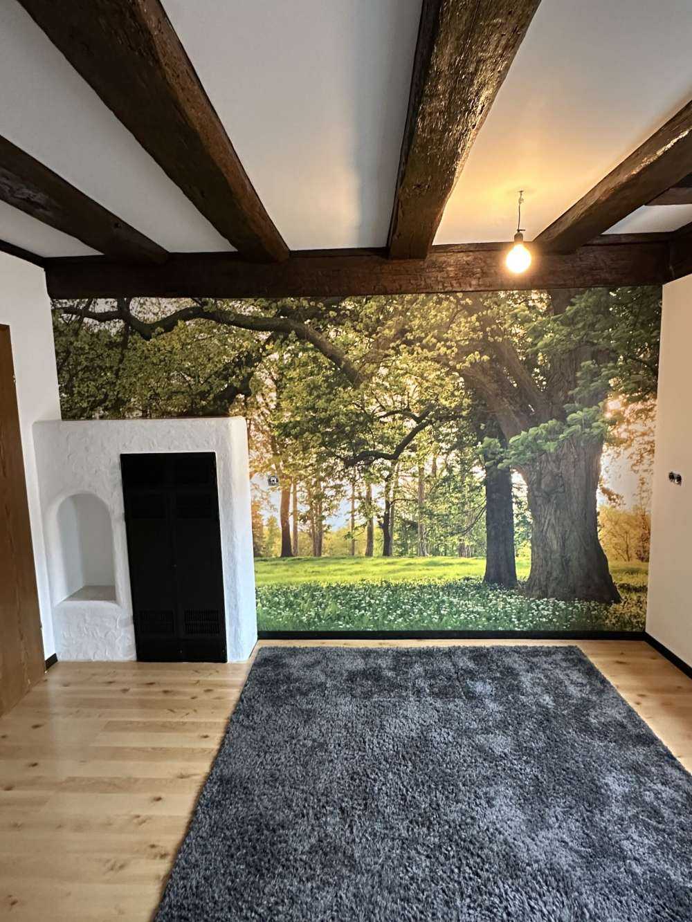 Open plek in het bos