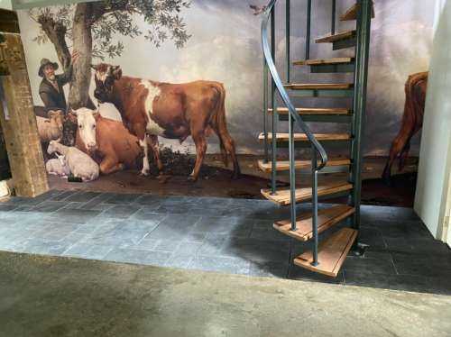 De stier