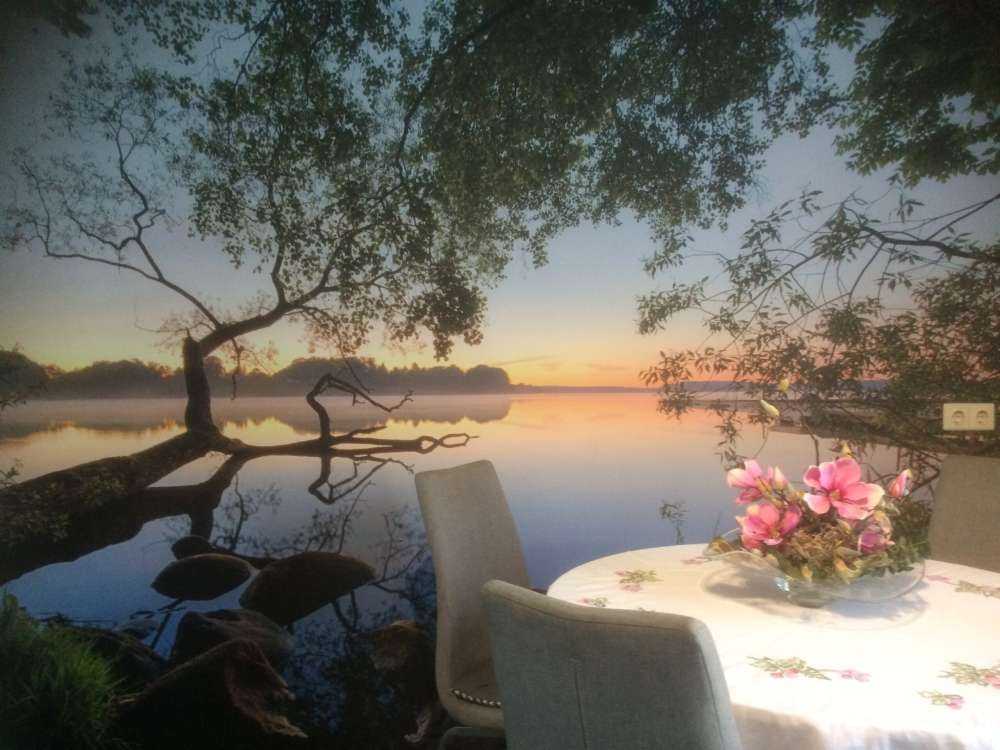 Lake view