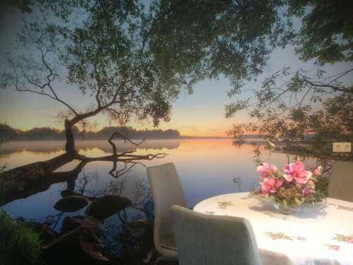 Lake view