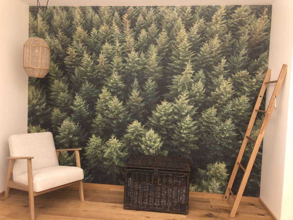 Douglassparren van boven