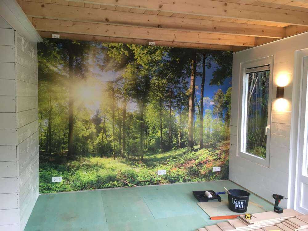 Bos met zonnestralen