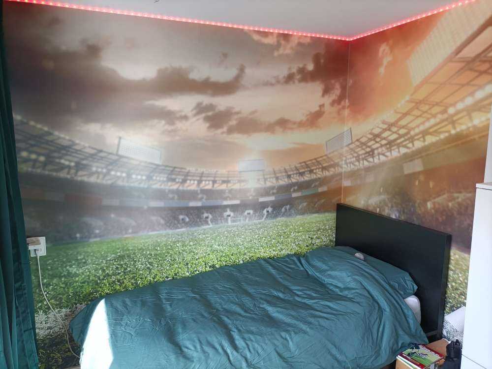 Stadion met kunstgras