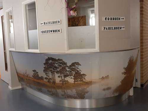 Weerspiegeling in heidegebied