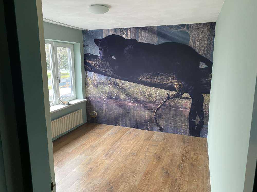 Panter op een boomstronk