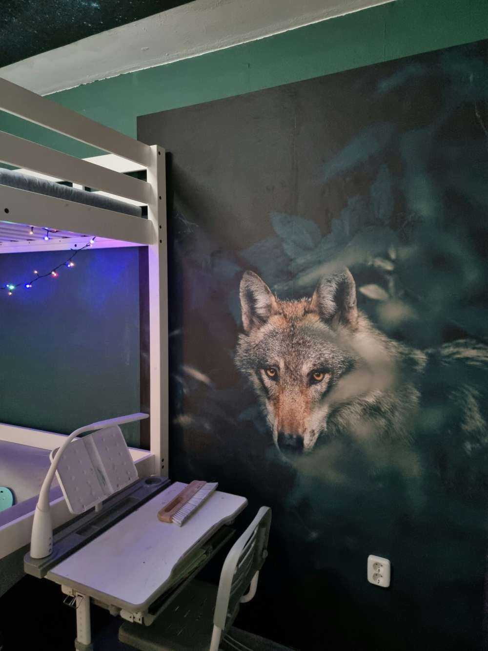 Close-up wolf