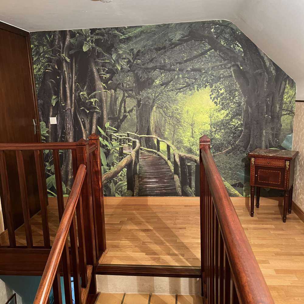 Houten brug door een groene jungle