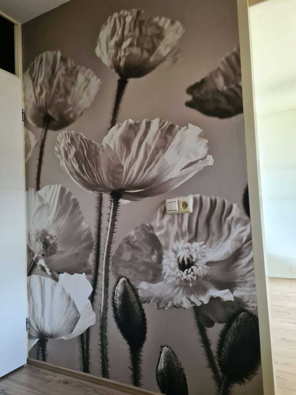 Klaprozen vintage