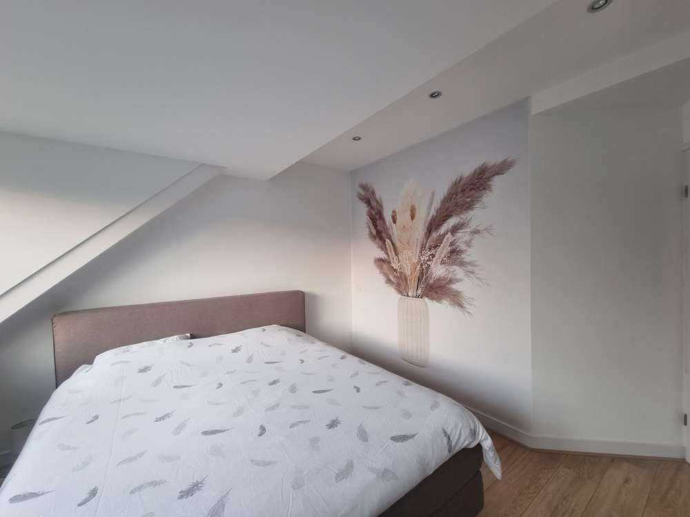 Vaas met beige planten