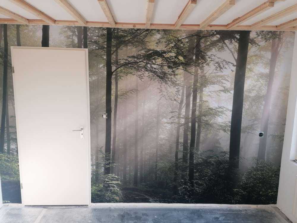 Groen bos in de mist