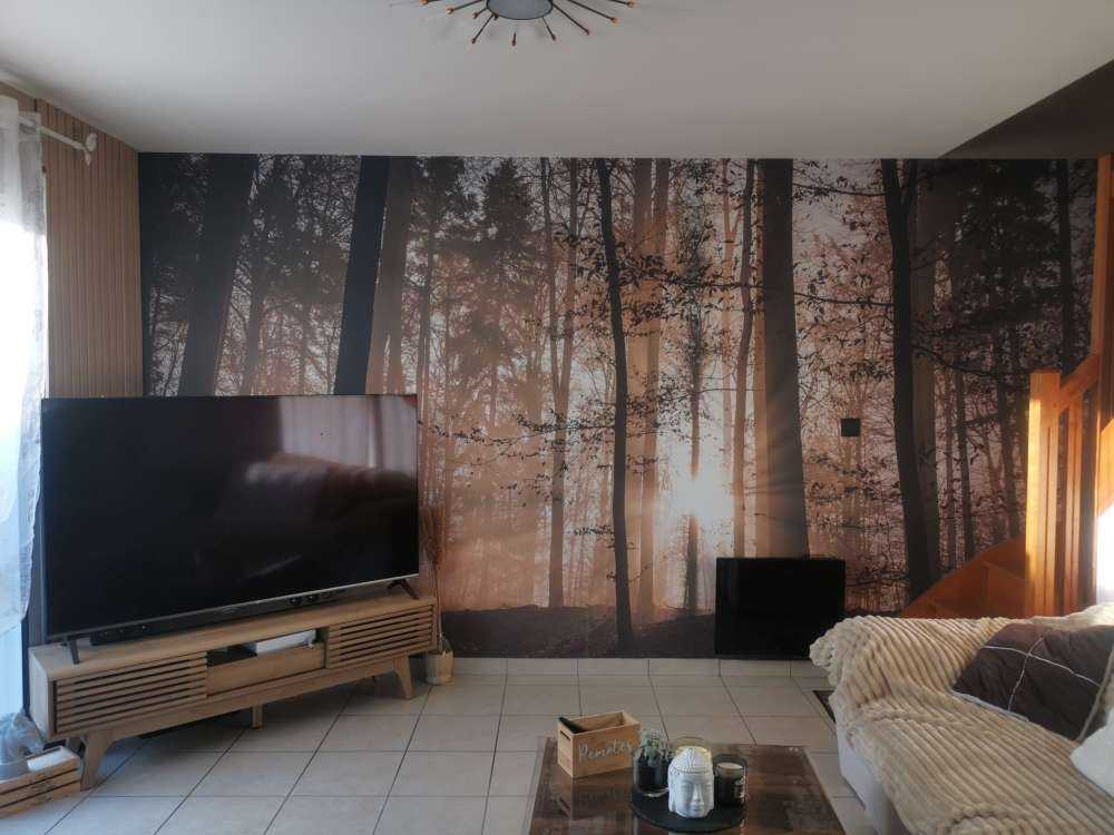 Zonnestralen in een mistig bos