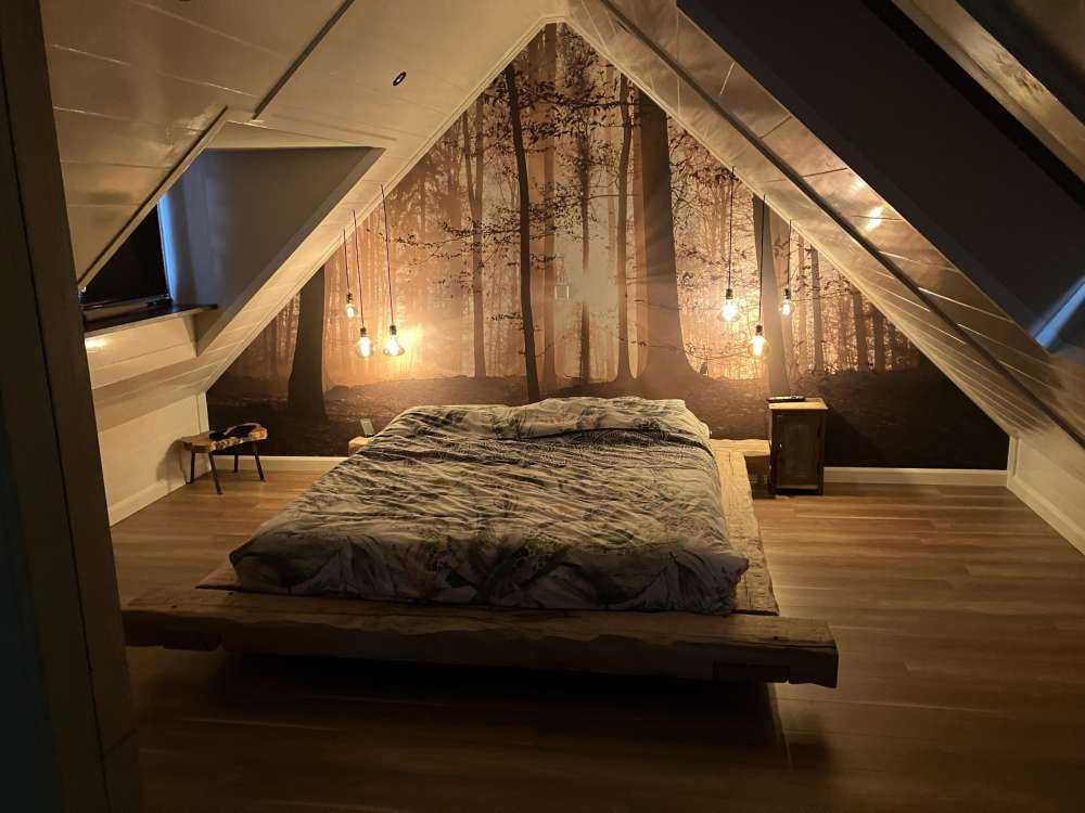 Zonnestralen in een mistig bos