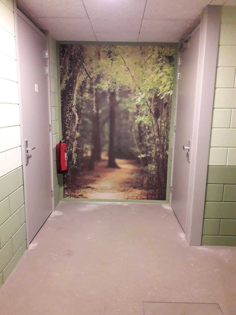 Spaans bos vol met mos