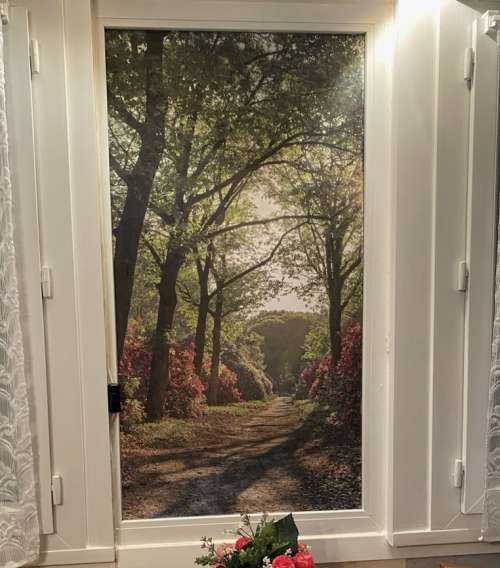 Zonsopkomst bij pad met rhododendrons