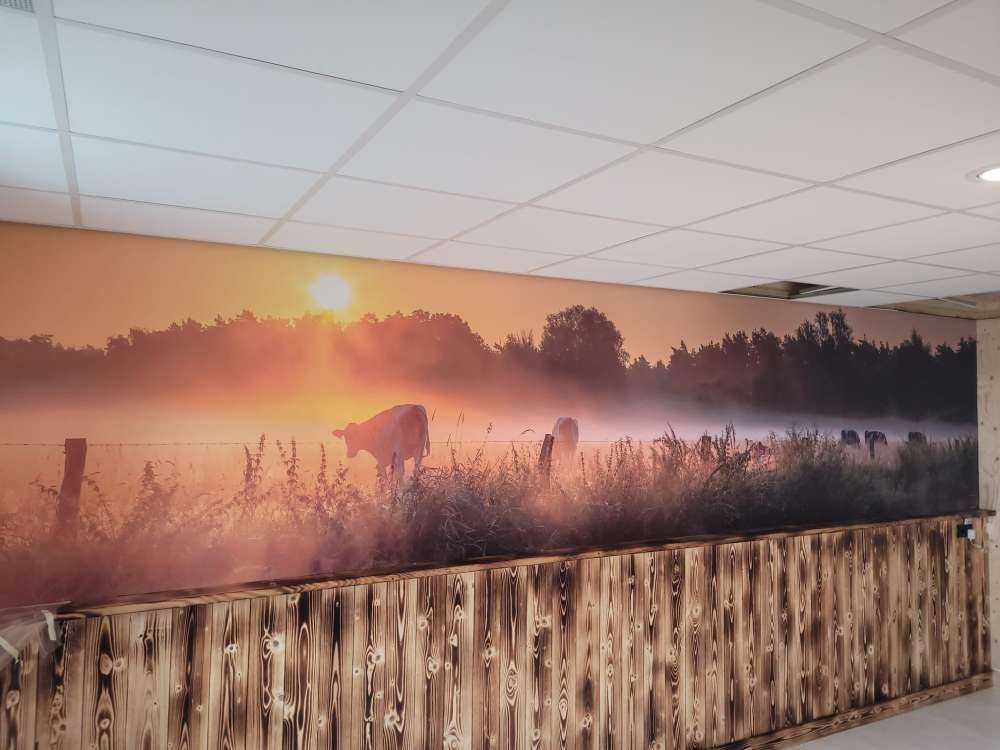 Koeien in het weiland