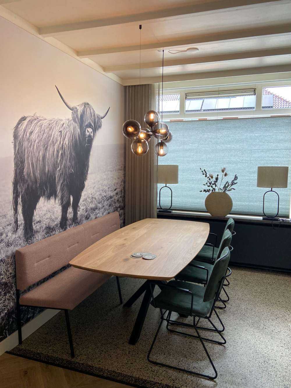 Schotse hooglander in het gras