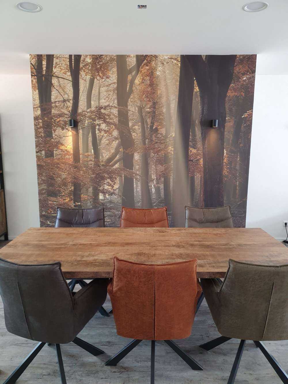 Herfstkleuren in het bos