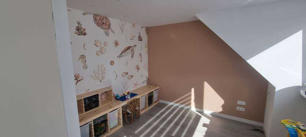 Schelpen en zeedieren