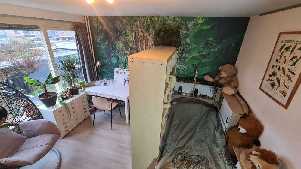 Takken in het regenwoud
