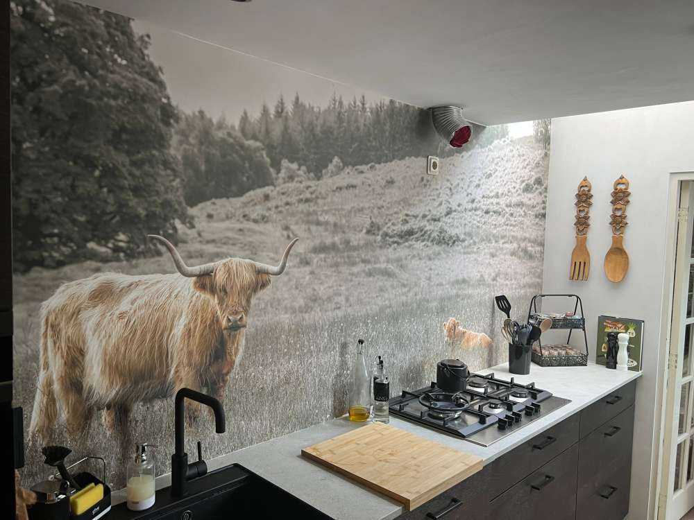 Schotse hooglander met kalf