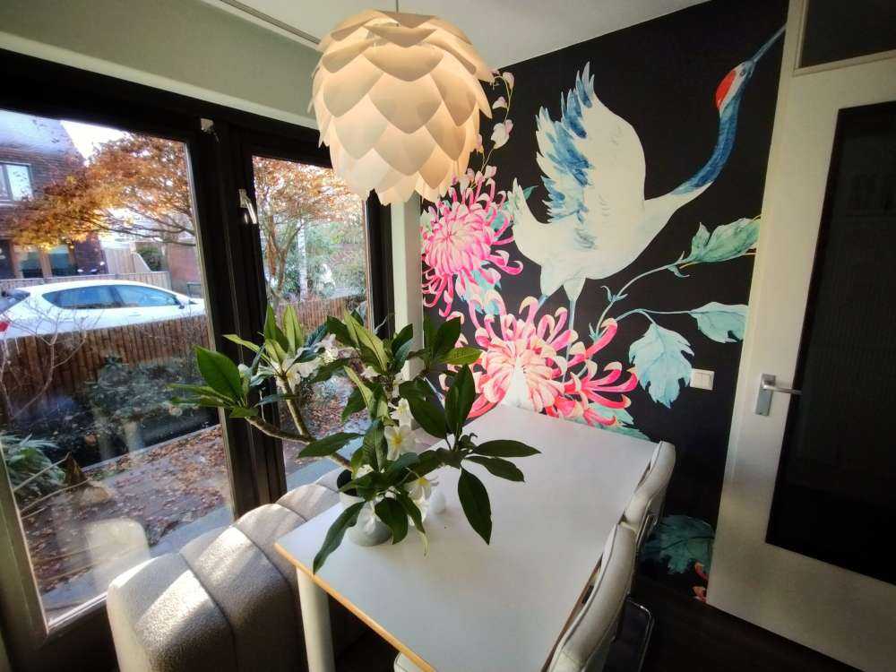 Waterverf kraanvogels