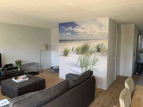 Strand met duinplanten