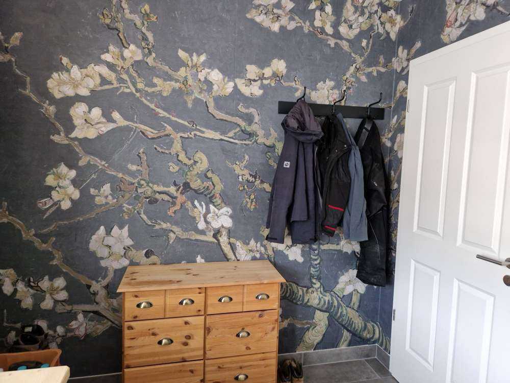 Amandelbloesem in Bloei