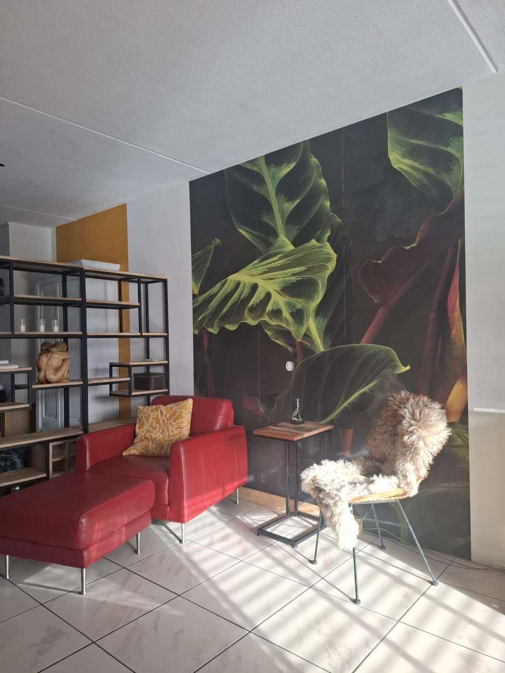 Plant met mooie groene bladeren