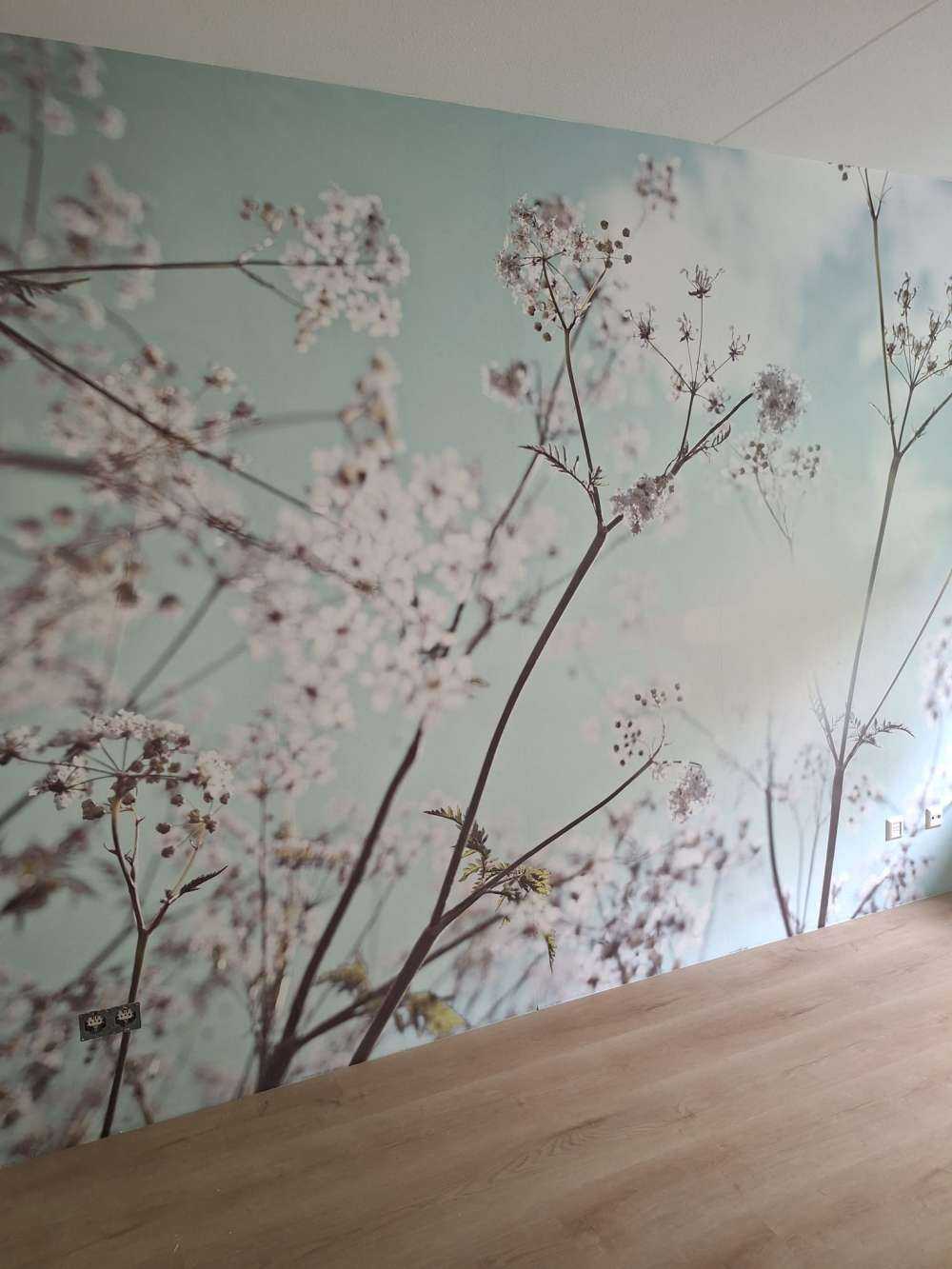 Amandelbloesem in de zon