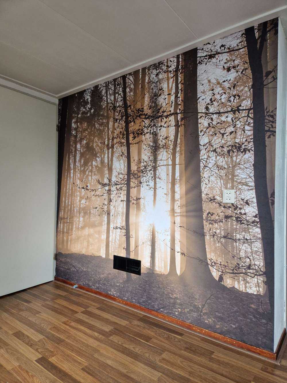 Zonnestralen in een mistig bos