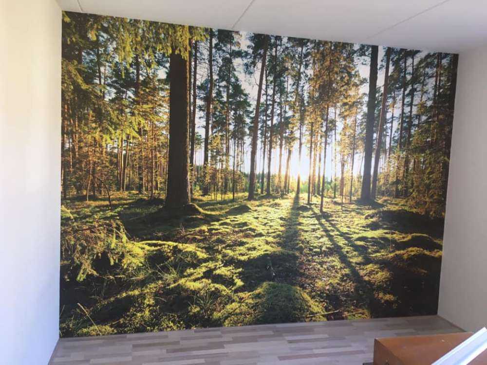 Dennenbos